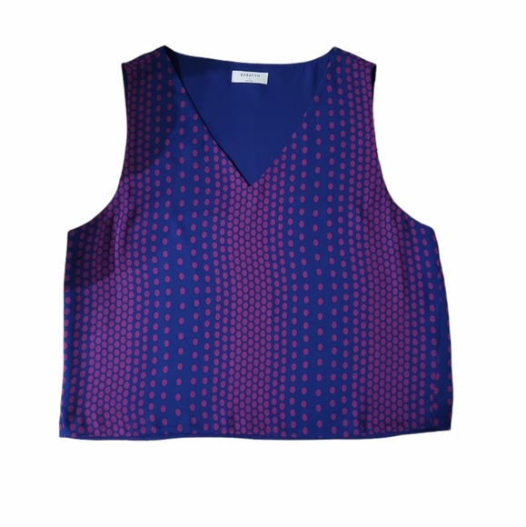 Aritzia Tops - Aritzia Babaton Blue Purle Dot Murphy Blouse